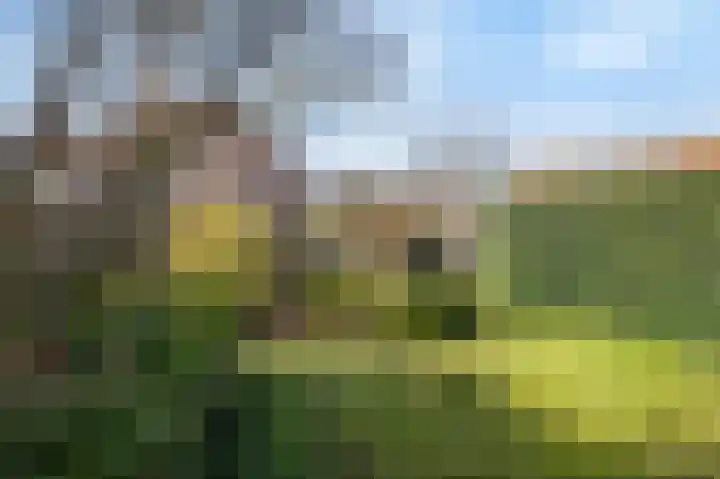 Oeverzicht 15 Linne thumbnail 29