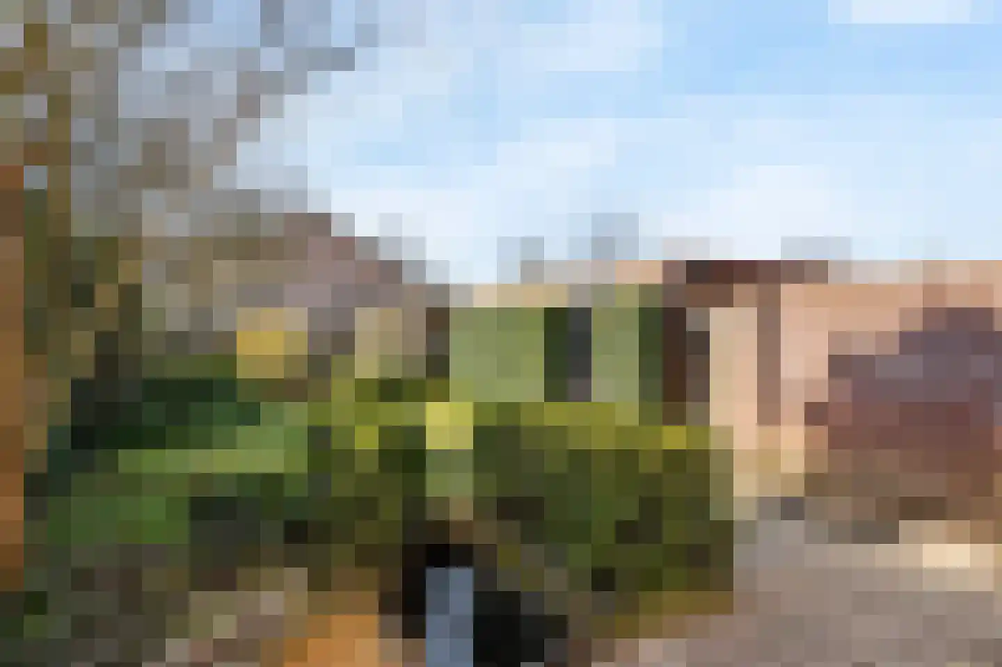 Oeverzicht 15 Linne thumbnail 30