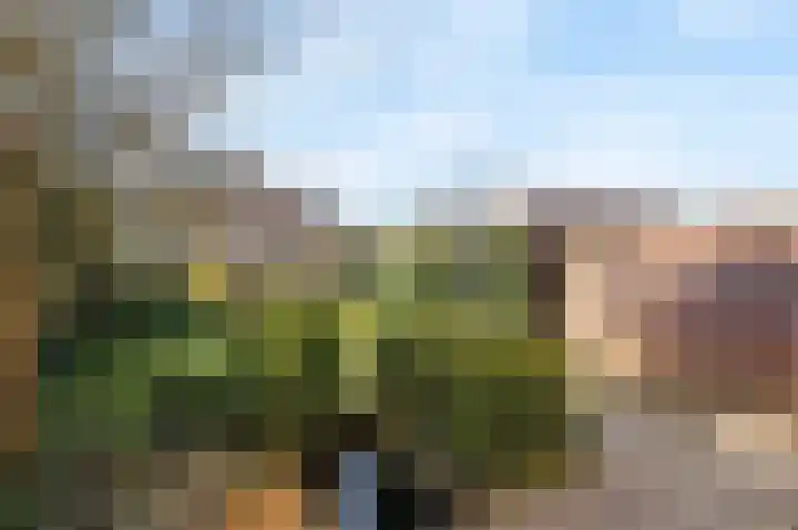 Oeverzicht 15 Linne thumbnail 30