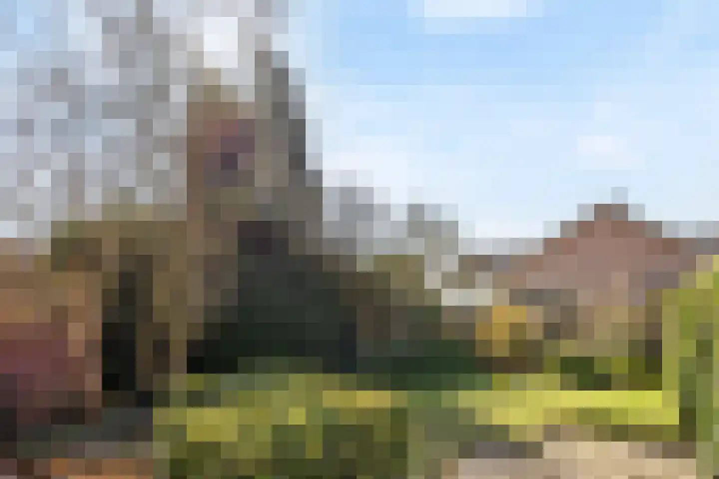 Oeverzicht 15 Linne thumbnail 31