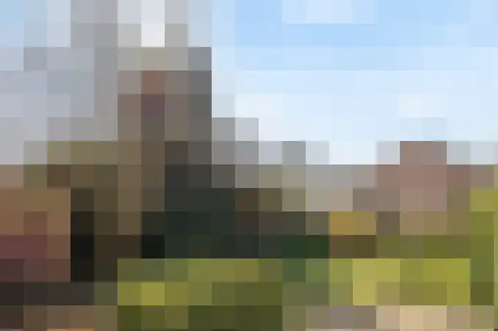 Oeverzicht 15 Linne thumbnail 31