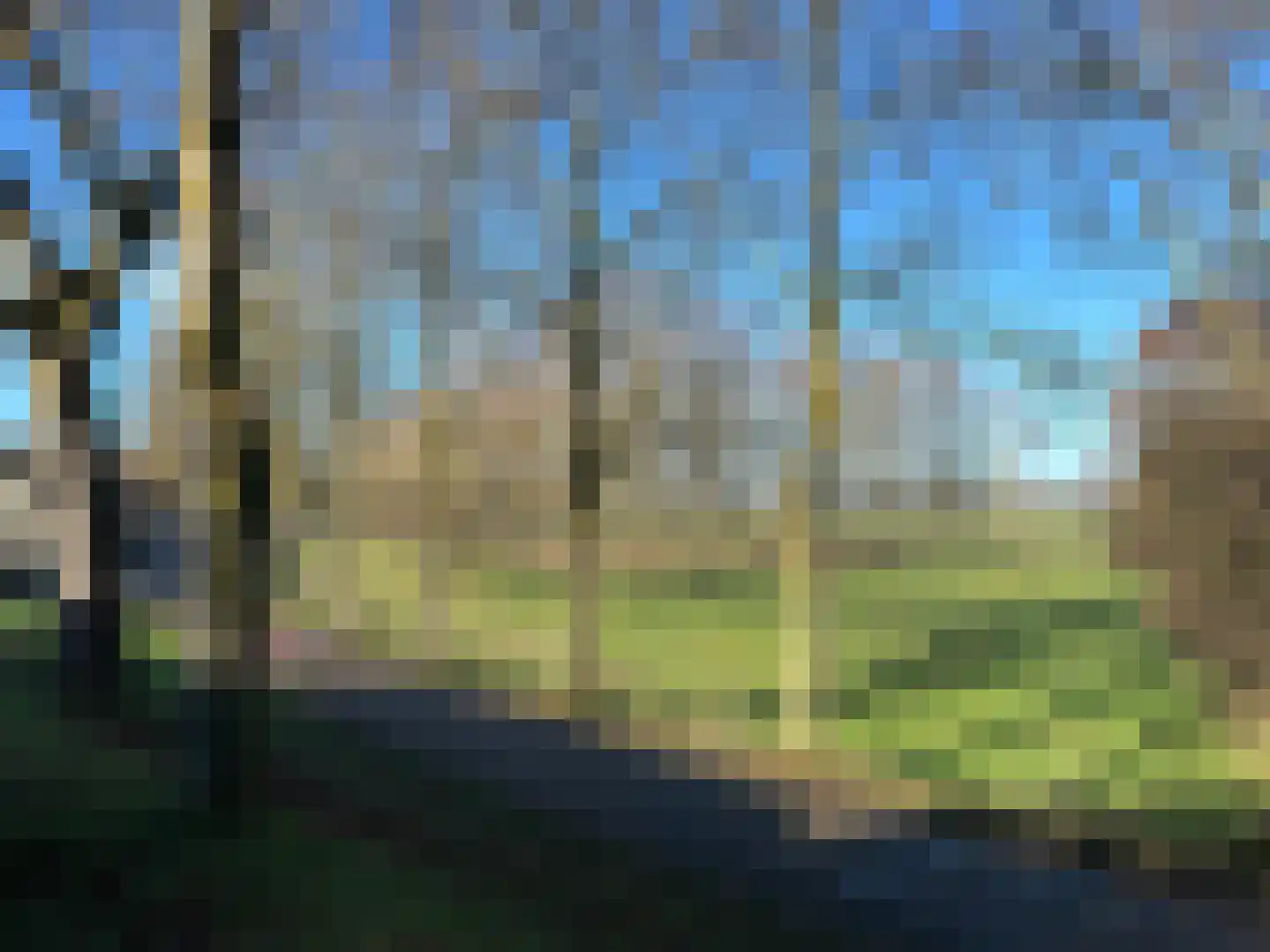 Oeverzicht 15 Linne thumbnail 37