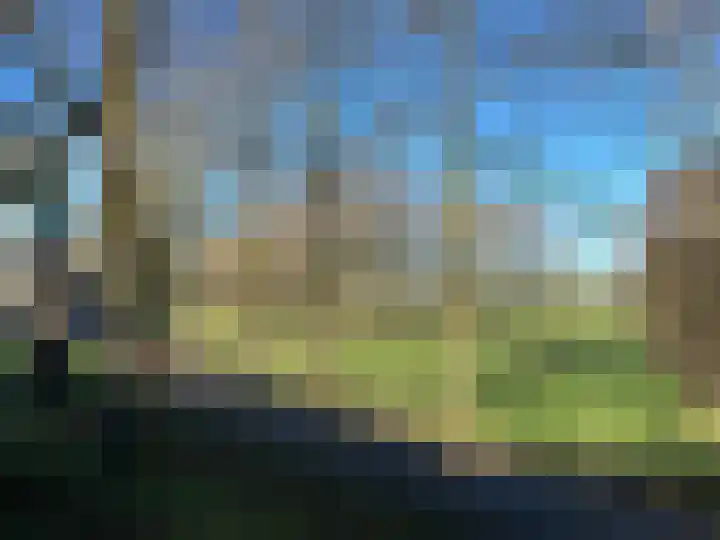 Oeverzicht 15 Linne thumbnail 37
