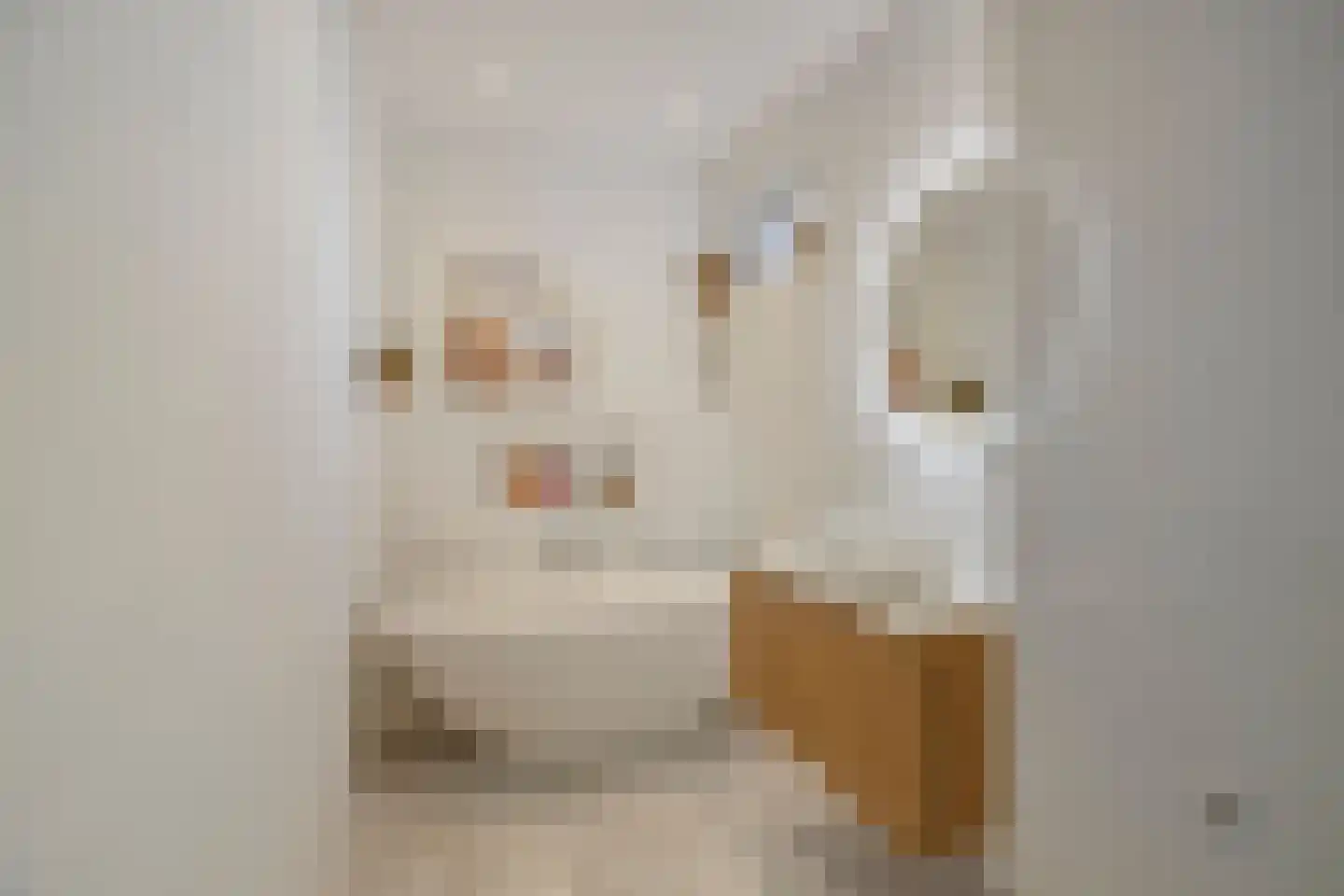 Oeverzicht 2 Roelofarendsveen thumbnail 13