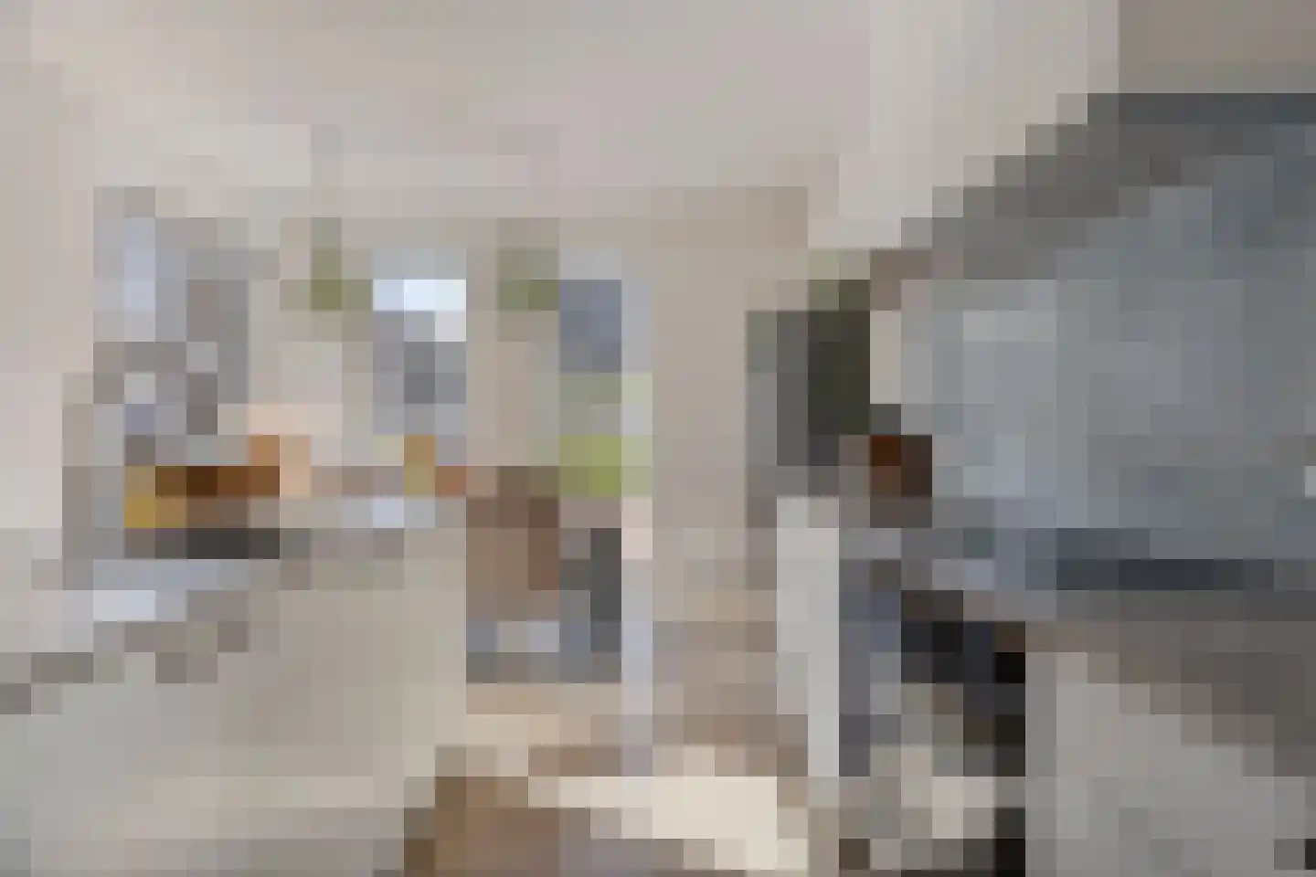 Oeverzicht 2 Roelofarendsveen thumbnail 4