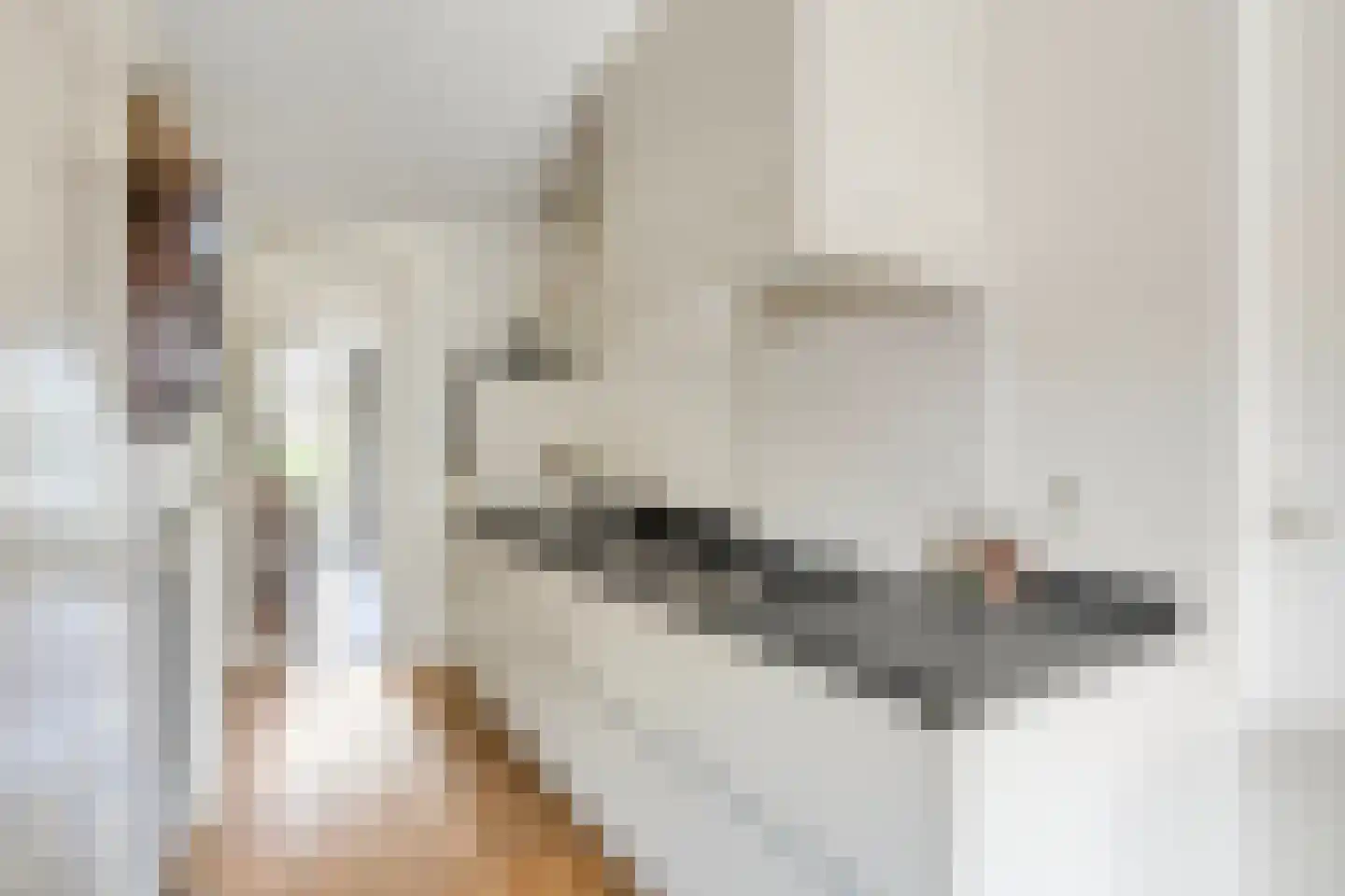 Oeverzicht 20 Linne thumbnail 14