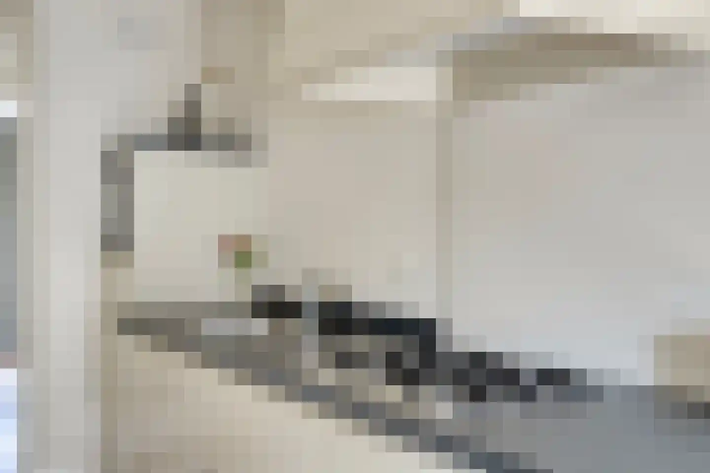 Oeverzicht 20 Linne thumbnail 15