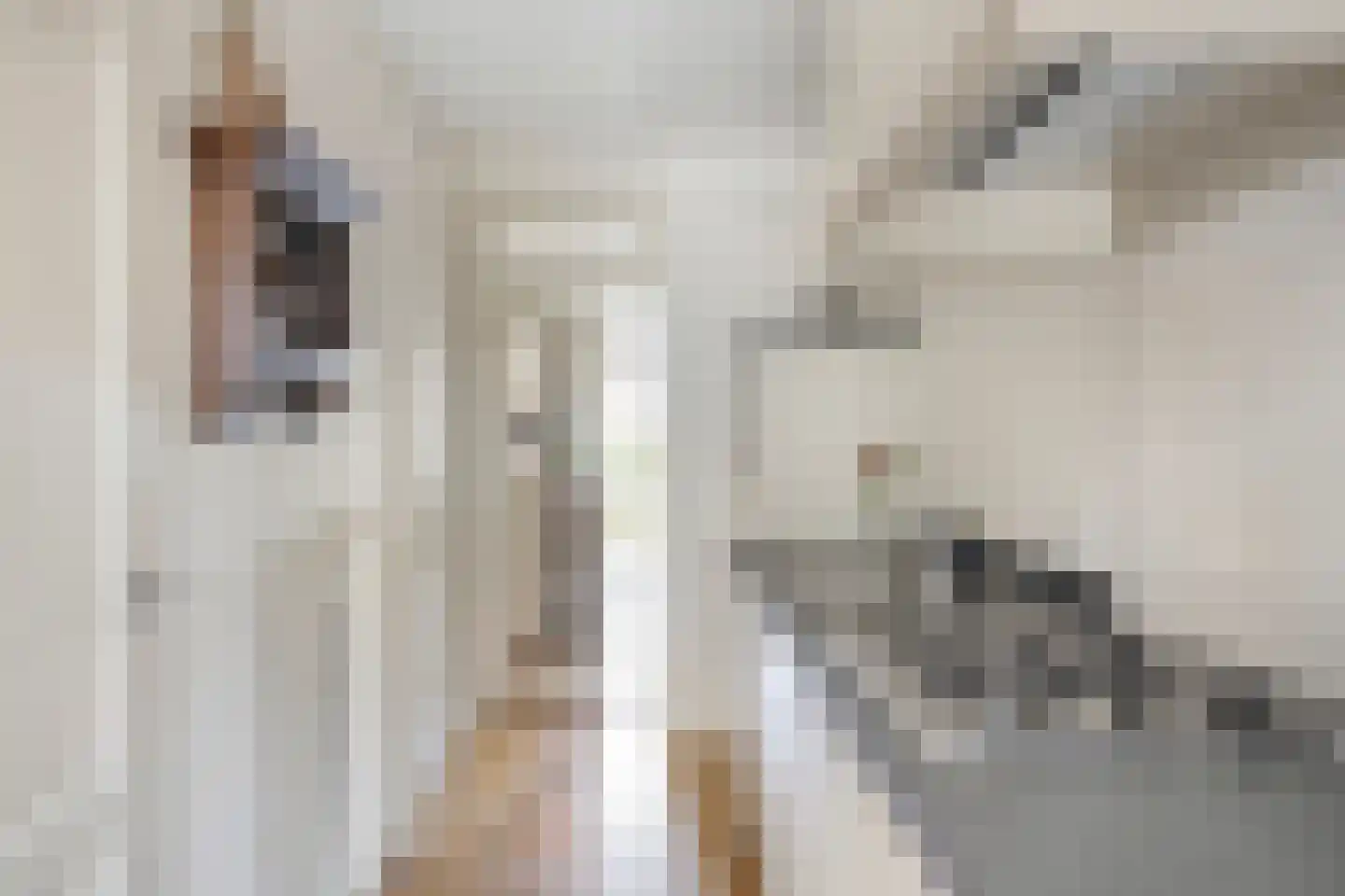 Oeverzicht 20 Linne thumbnail 17