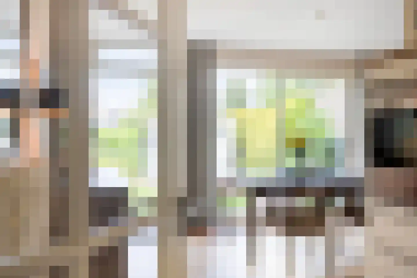 Oeverzicht 20 Linne thumbnail 18