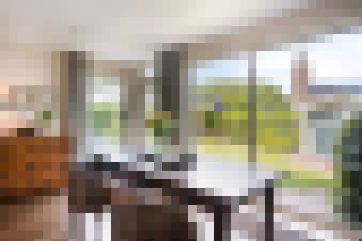 Oeverzicht 20 Linne thumbnail 19
