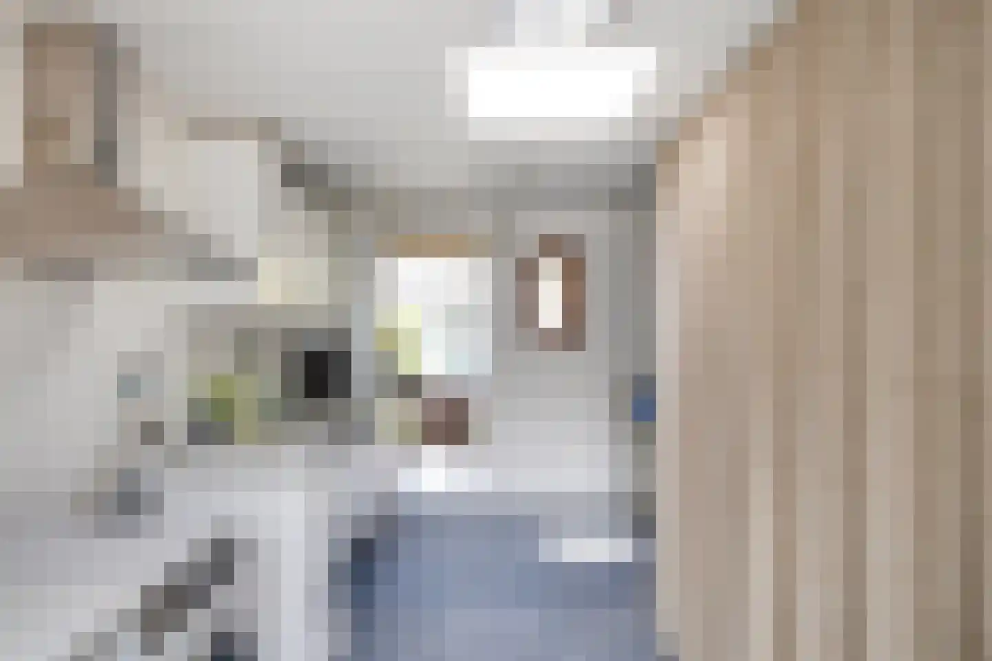 Oeverzicht 20 Linne thumbnail 22