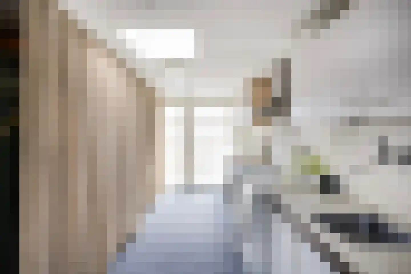 Oeverzicht 20 Linne thumbnail 23
