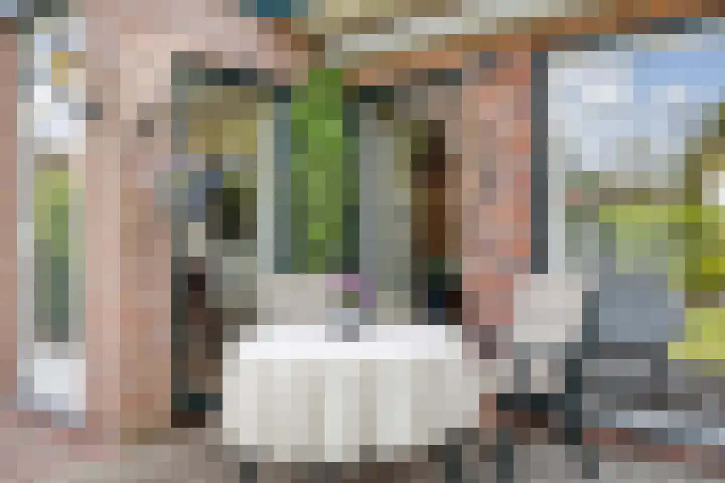 Oeverzicht 20 Linne thumbnail 37