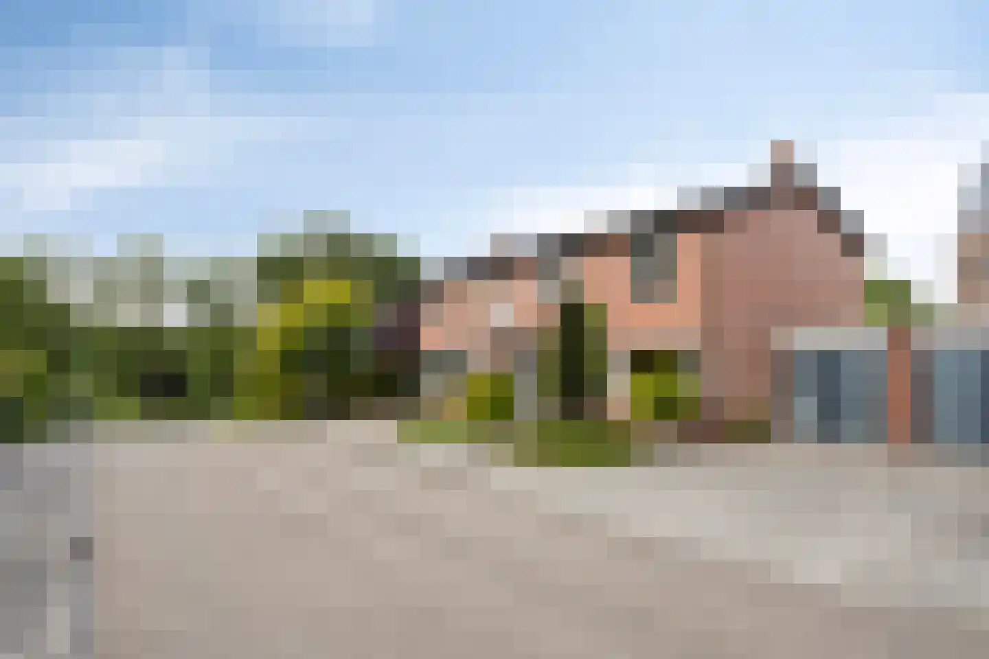 Oeverzicht 20 Linne thumbnail 39