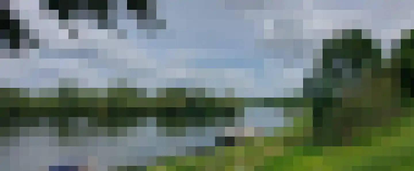Oeverzicht 20 Linne thumbnail 43