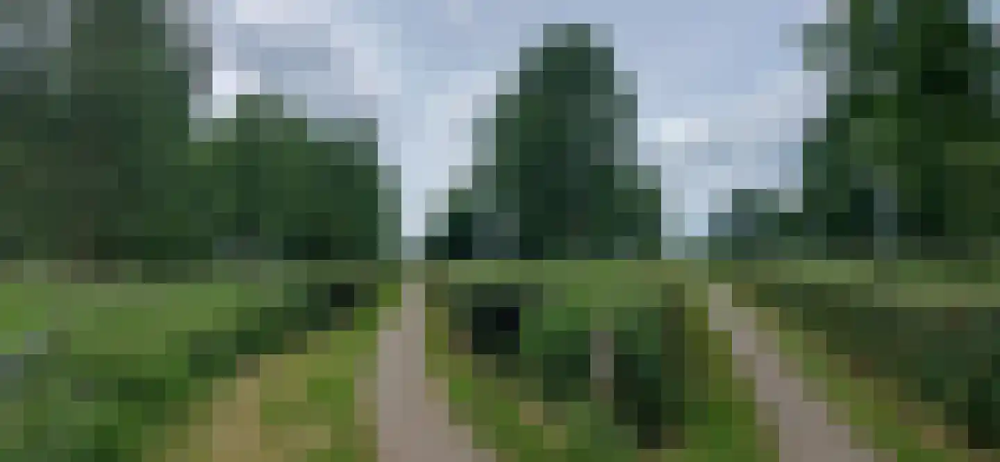 Oeverzicht 20 Linne thumbnail 45