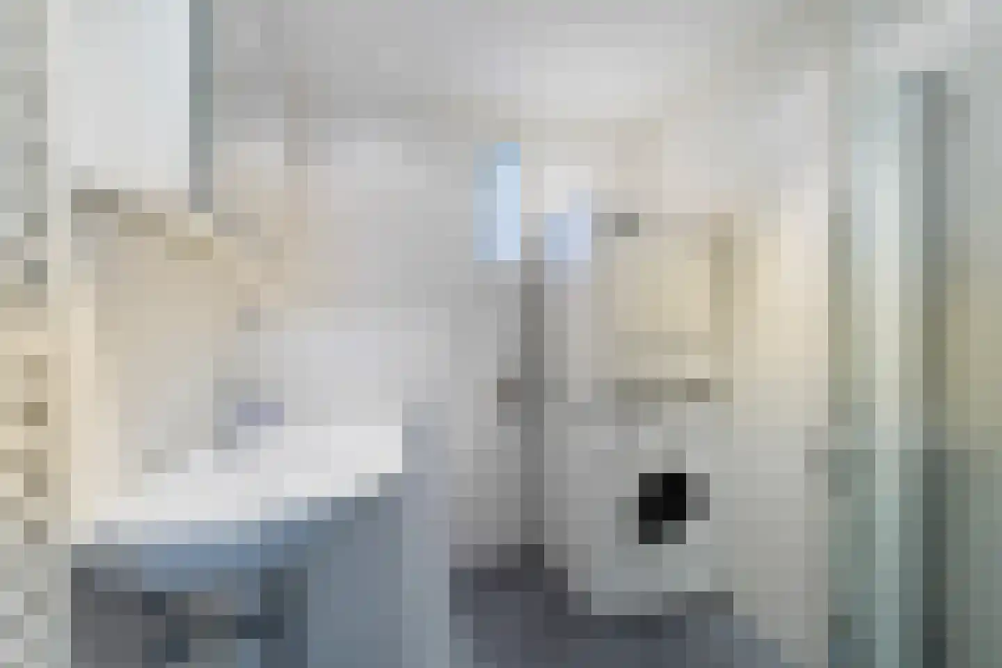 Oeverzicht 21 Linne thumbnail 20