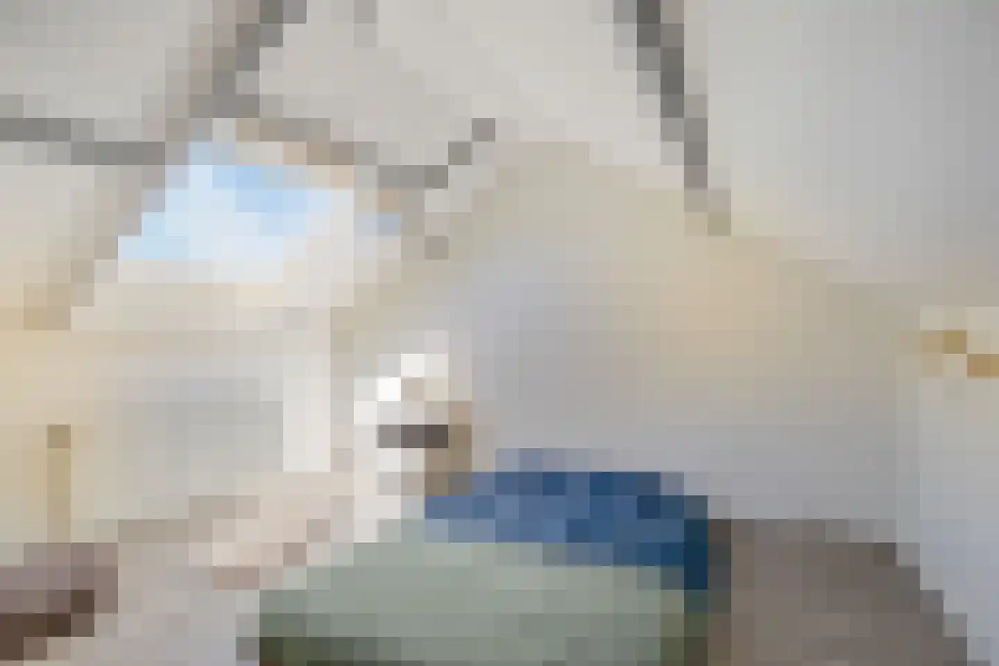 Oeverzicht 21 Linne thumbnail 28