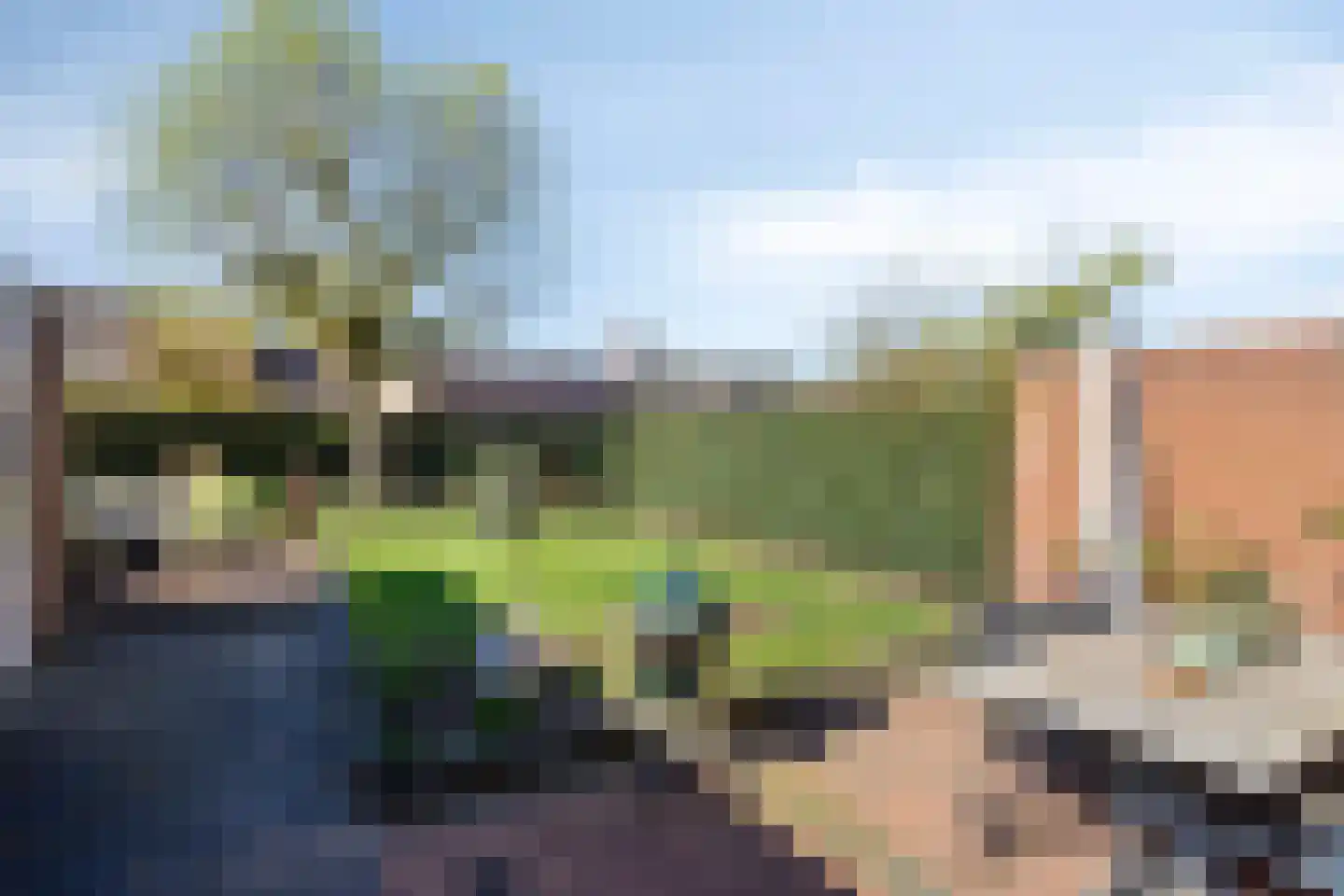 Oeverzicht 21 Linne thumbnail 30