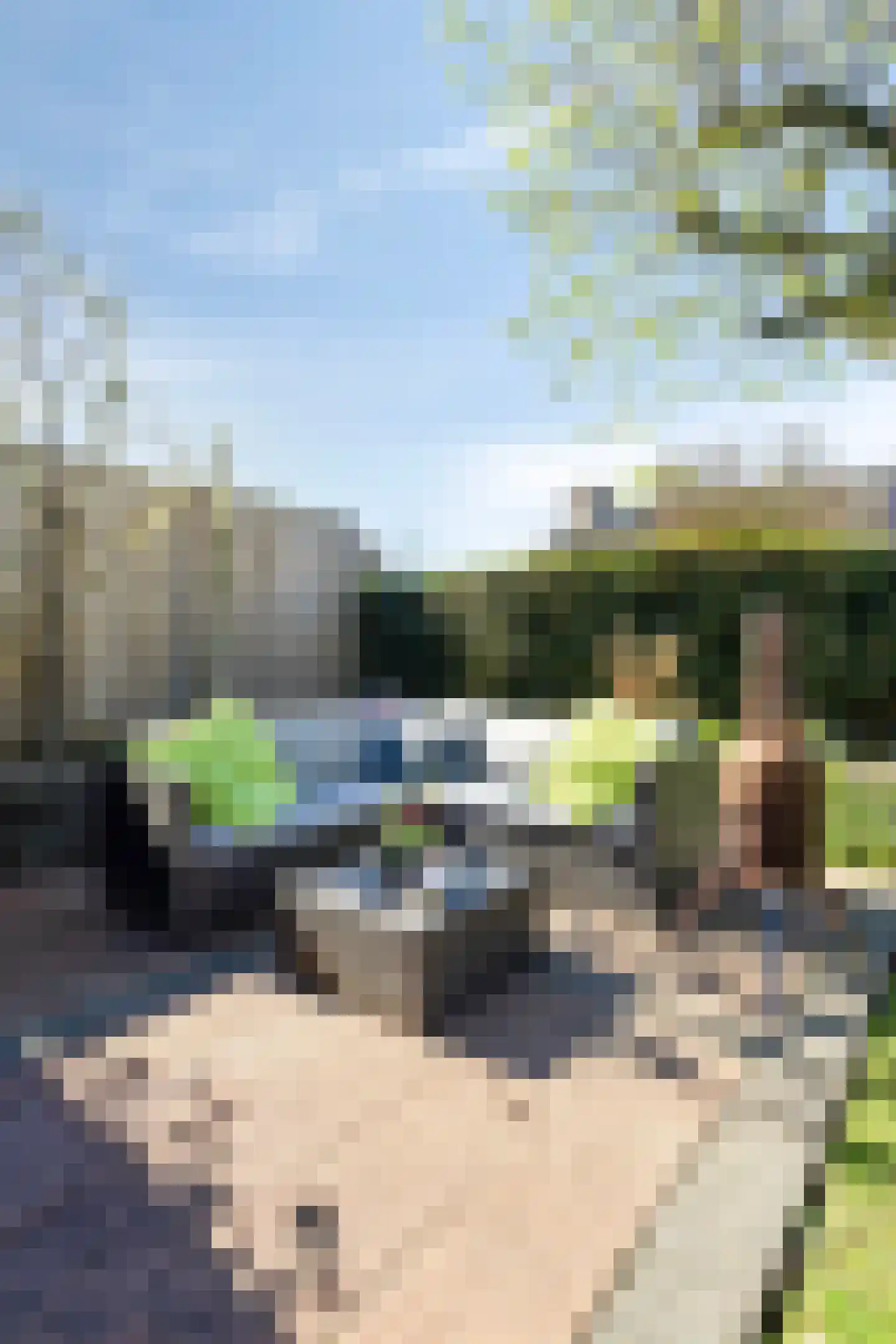 Oeverzicht 21 Linne thumbnail 33