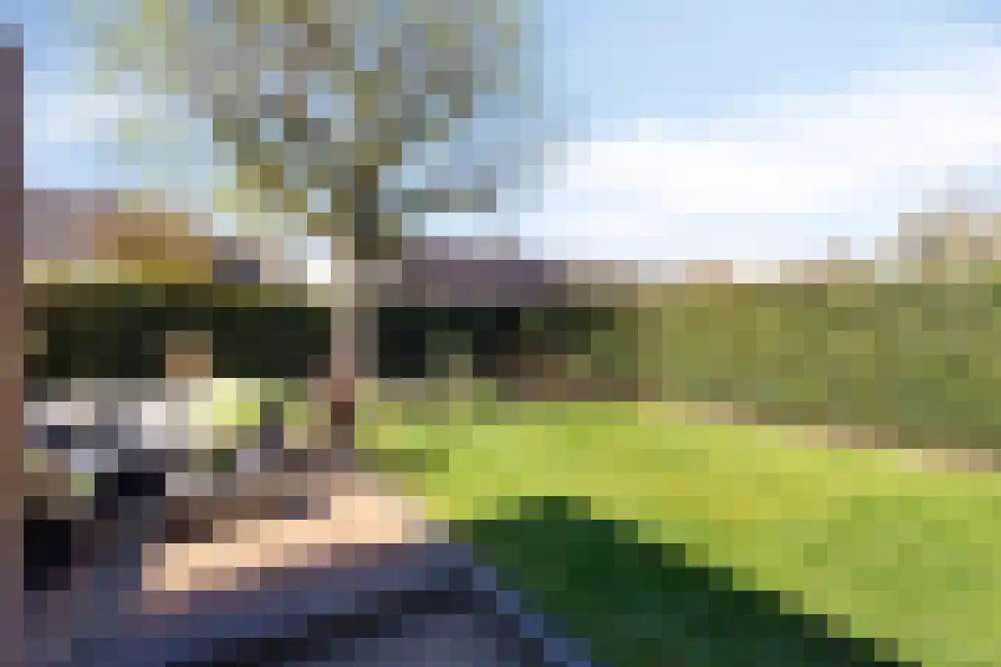 Oeverzicht 21 Linne thumbnail 35