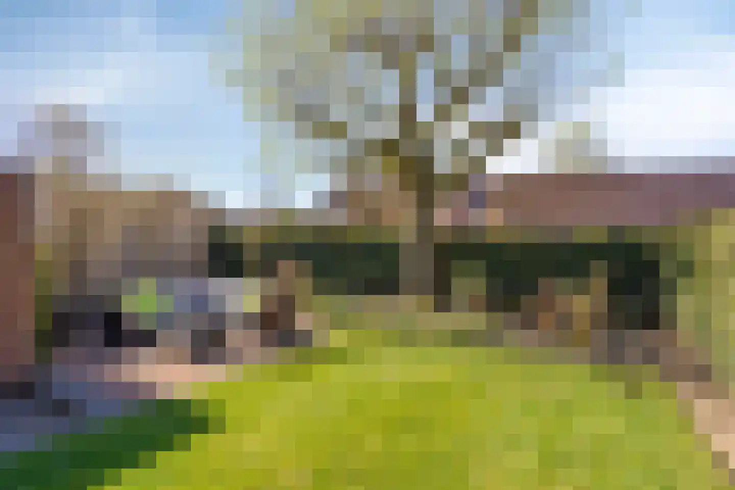 Oeverzicht 21 Linne thumbnail 36