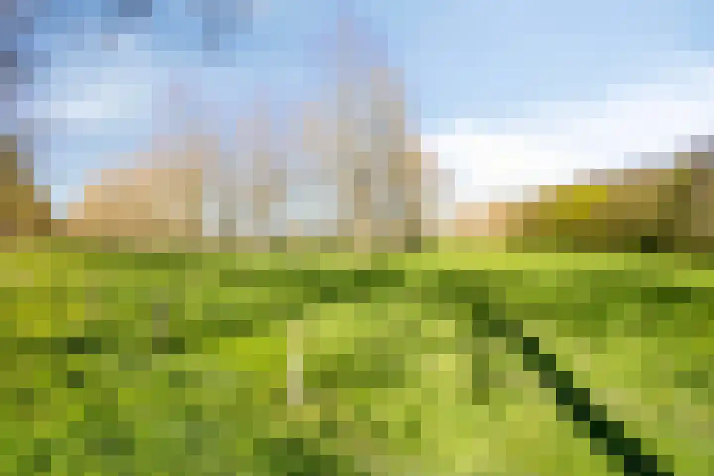 Oeverzicht 21 Linne thumbnail 39