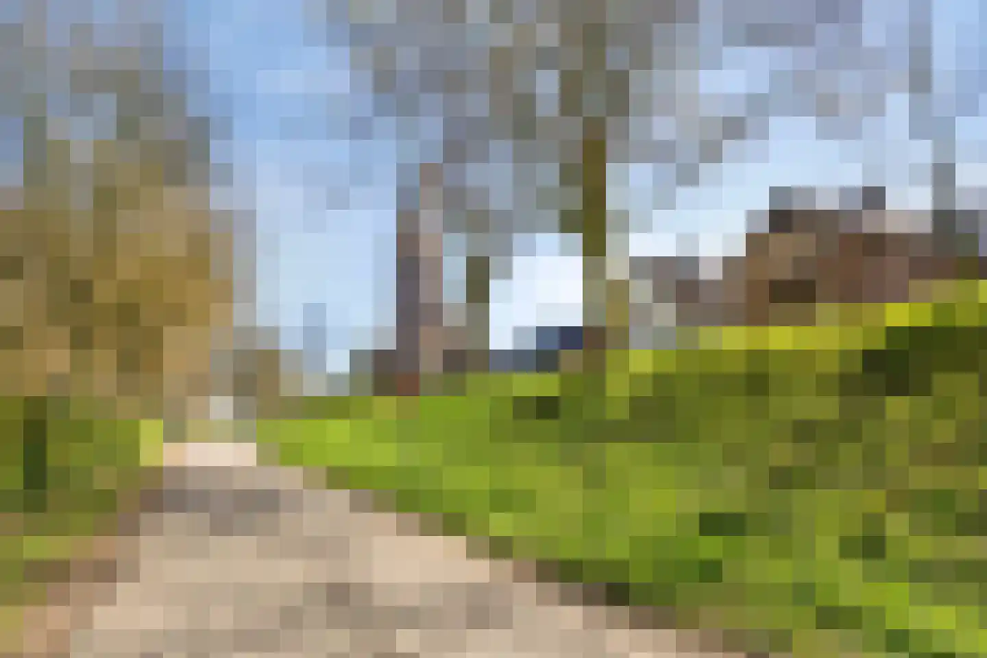 Oeverzicht 21 Linne thumbnail 40