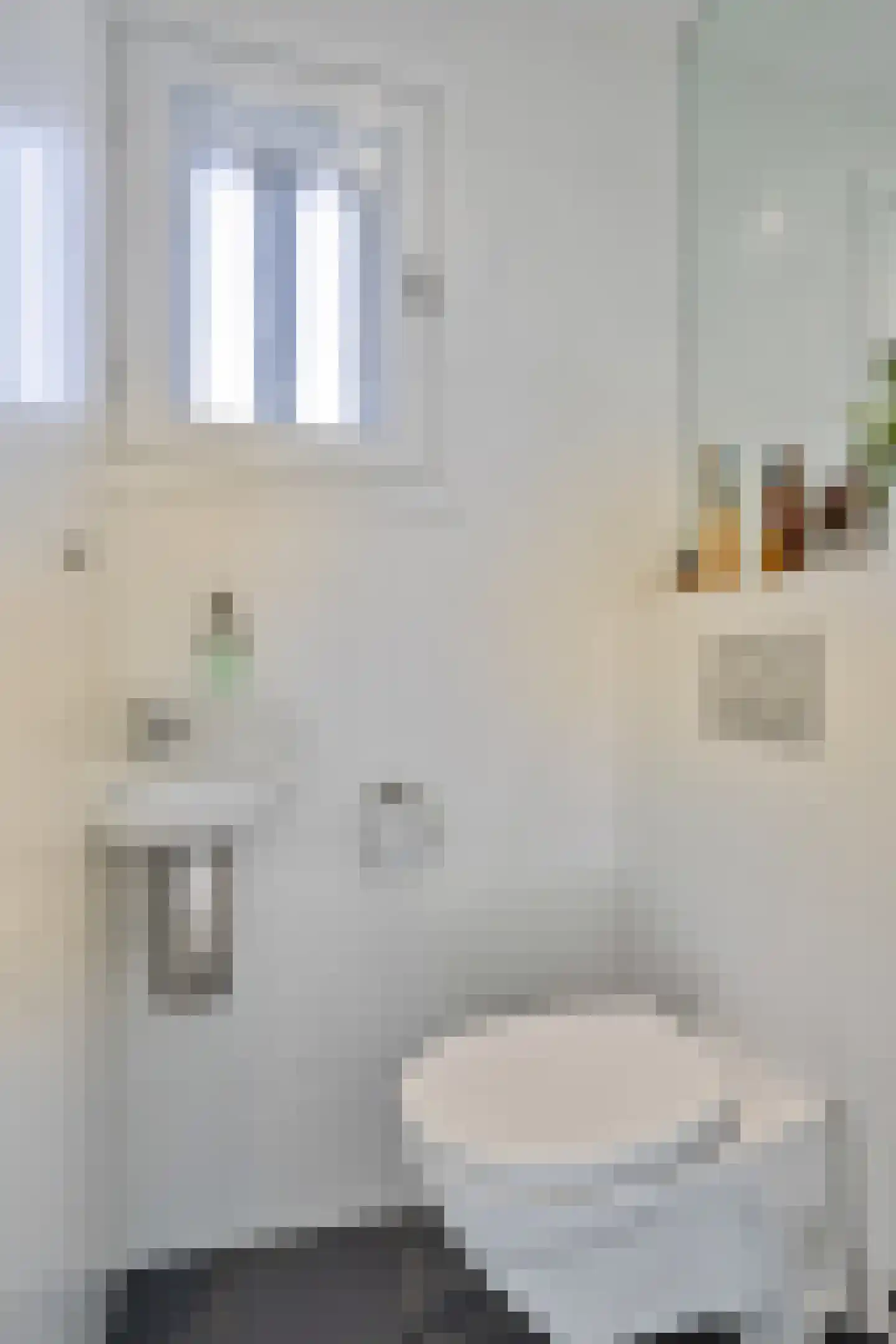 Oeverzicht 21 Linne thumbnail 9