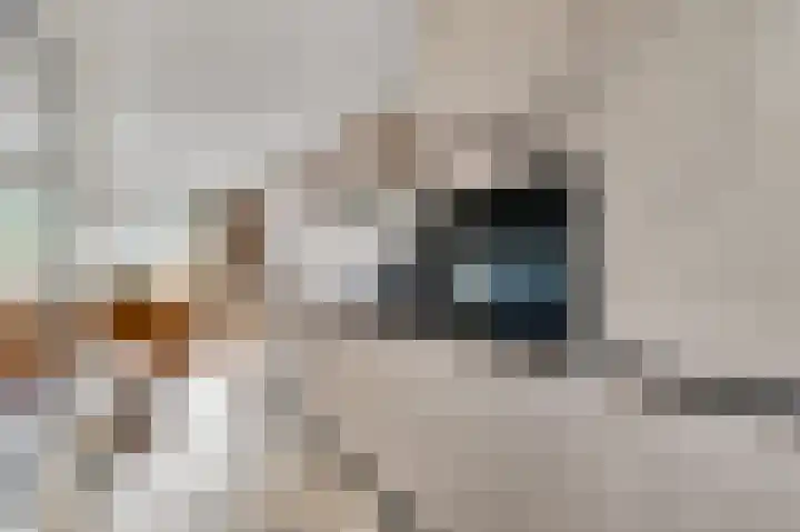 Oeverzicht 22 Linne thumbnail 11