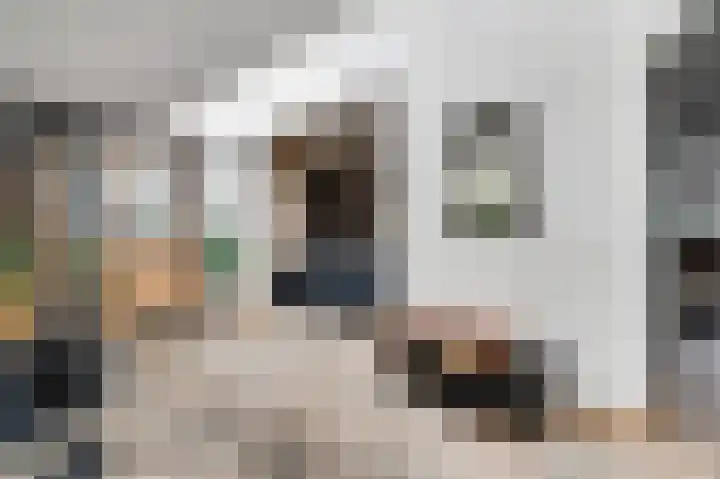 Oeverzicht 22 Linne thumbnail 13
