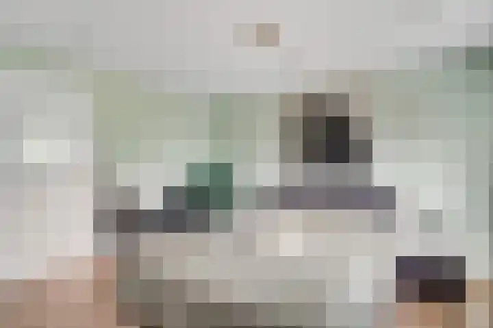 Oeverzicht 22 Linne thumbnail 15