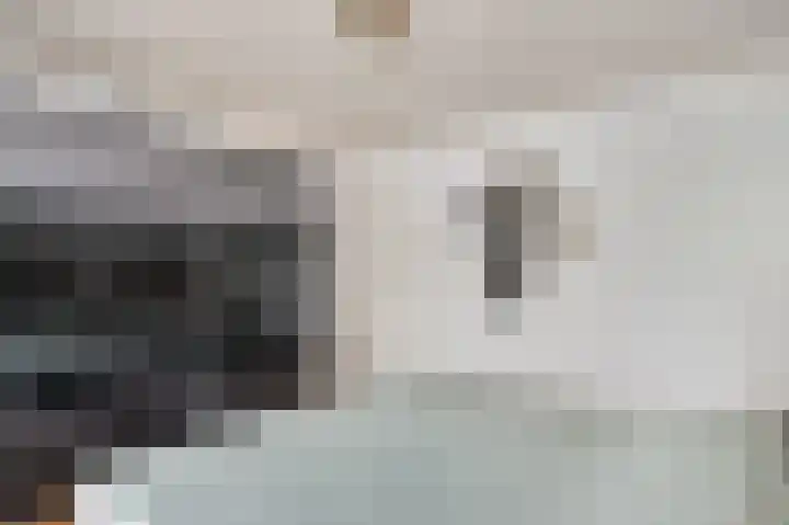 Oeverzicht 22 Linne thumbnail 16