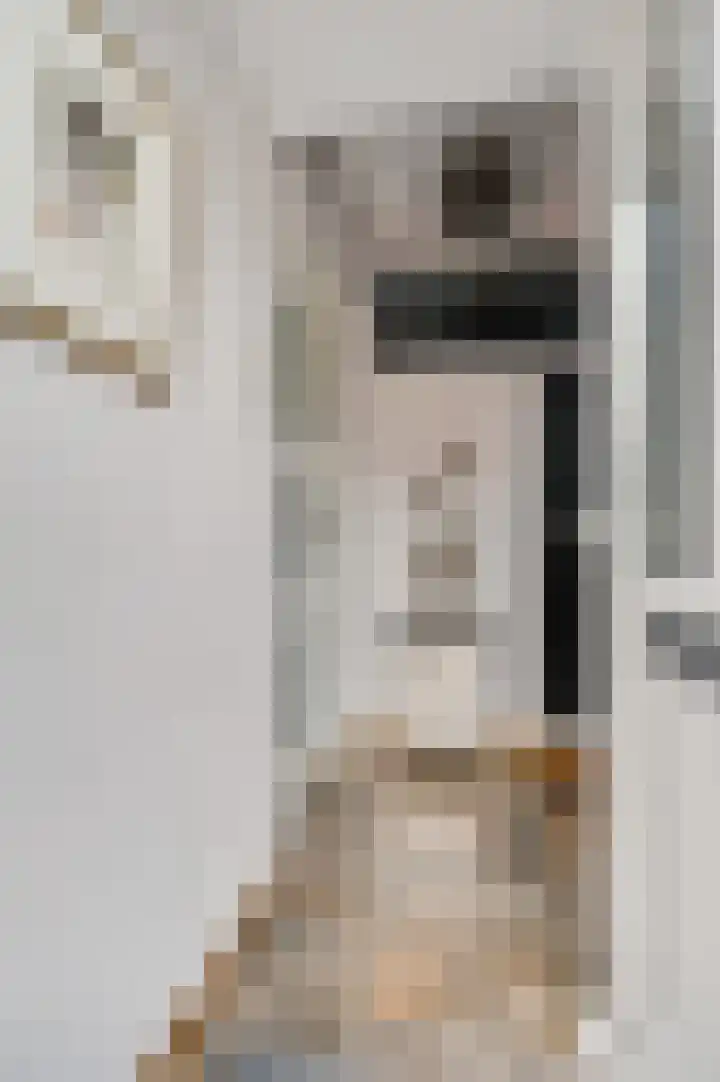 Oeverzicht 22 Linne thumbnail 17