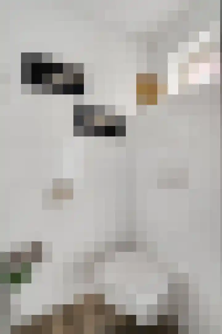 Oeverzicht 22 Linne thumbnail 18