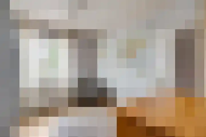 Oeverzicht 22 Linne thumbnail 23