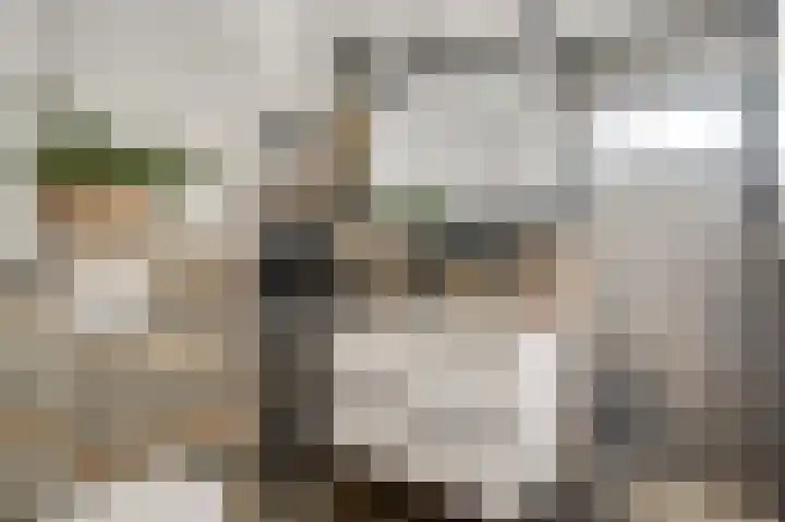 Oeverzicht 22 Linne thumbnail 24