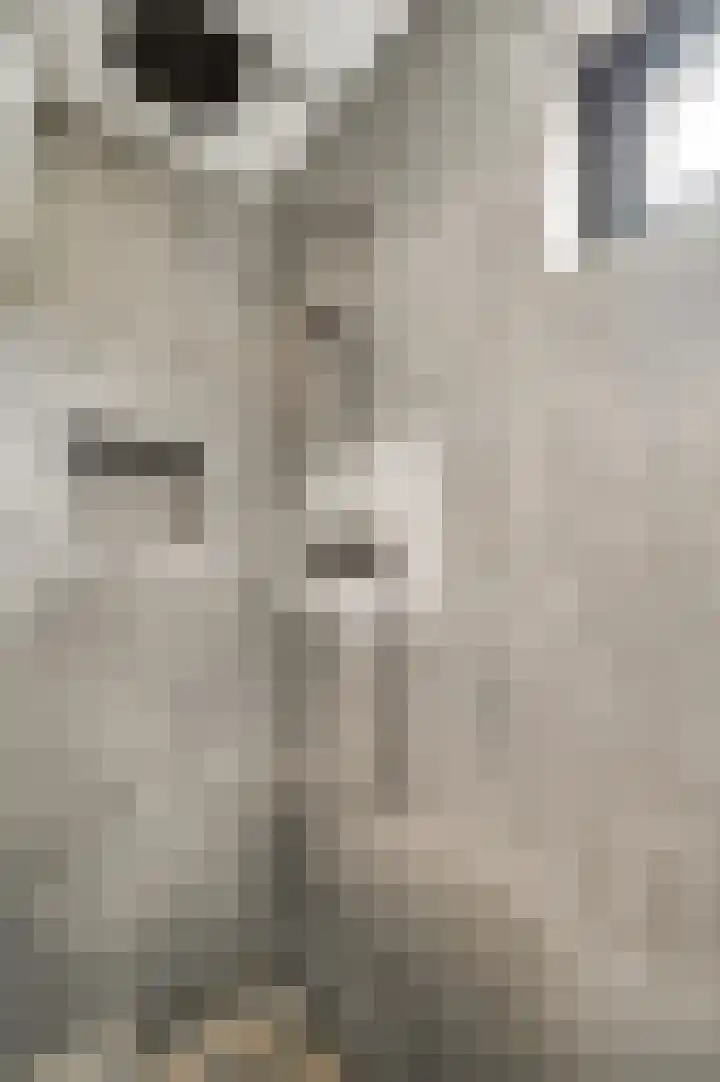 Oeverzicht 22 Linne thumbnail 25