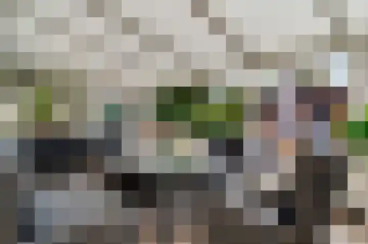 Oeverzicht 22 Linne thumbnail 27