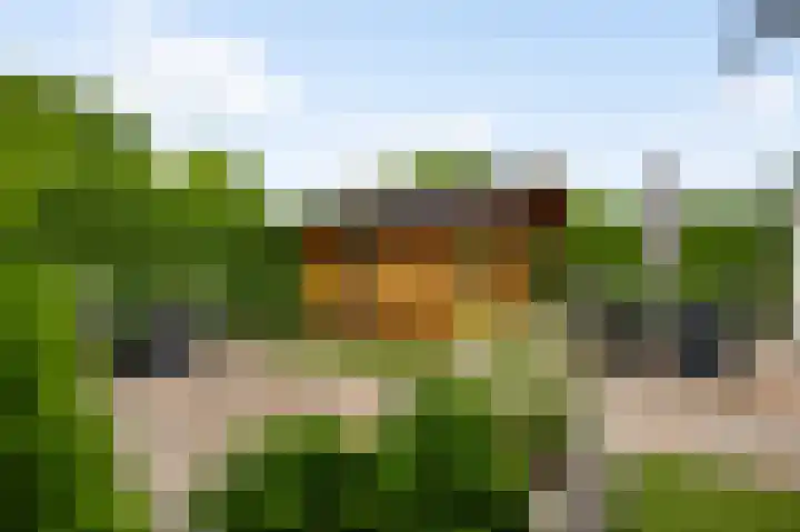 Oeverzicht 22 Linne thumbnail 28