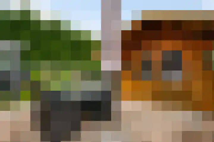 Oeverzicht 22 Linne thumbnail 29