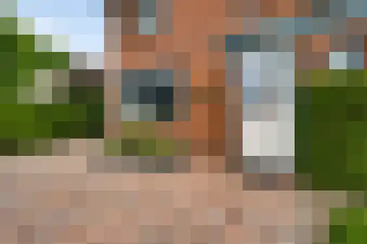 Oeverzicht 22 Linne thumbnail 34