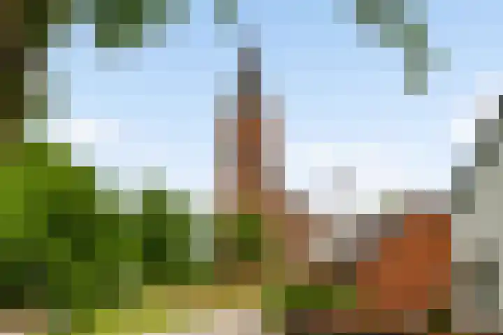 Oeverzicht 22 Linne thumbnail 36
