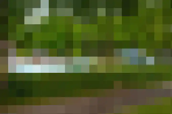 Oeverzicht 22 Linne thumbnail 37
