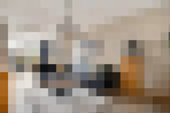Oeverzicht 22 Linne thumbnail 4