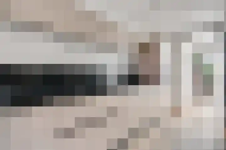 Oeverzicht 22 Linne thumbnail 5