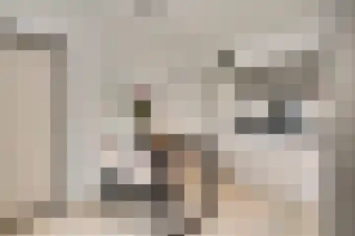 Oeverzicht 9 Linne thumbnail 12