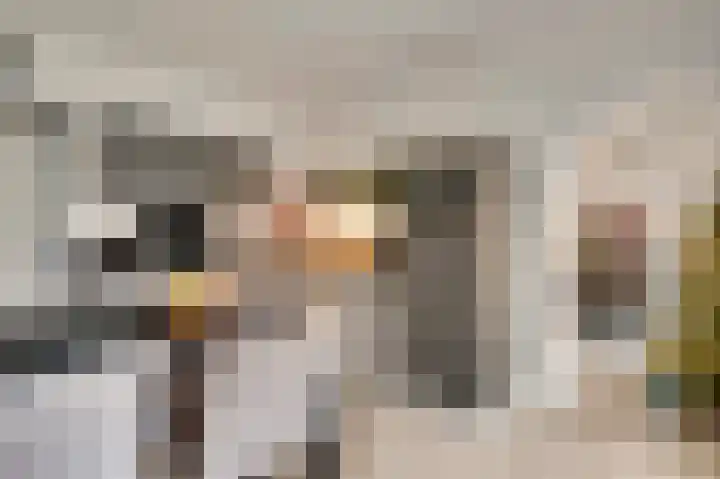 Oeverzicht 9 Linne thumbnail 14