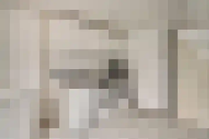Oeverzicht 9 Linne thumbnail 15
