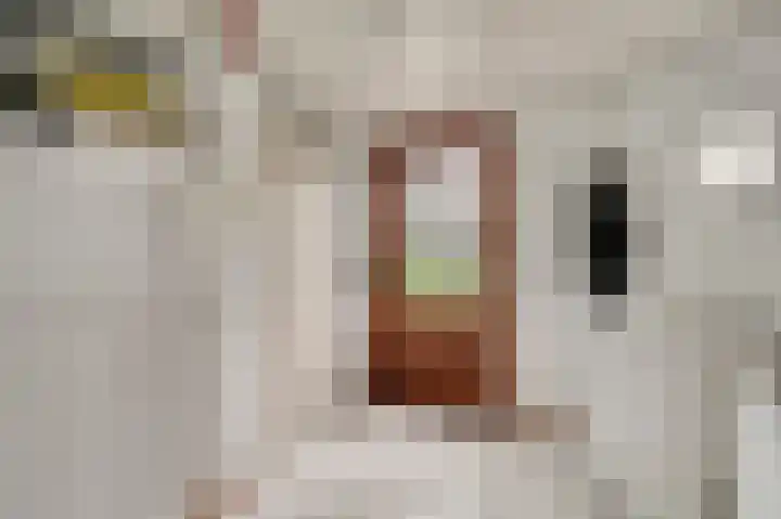 Oeverzicht 9 Linne thumbnail 16